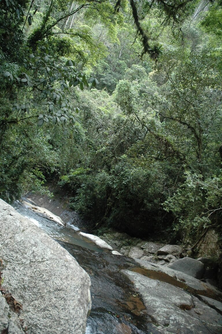Imagem contextual de Indaial, Santa Catarina.