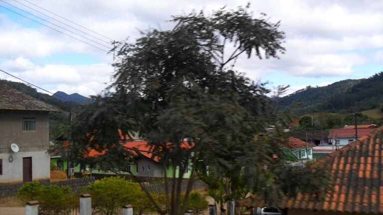 Imagem contextual de Timbó, Santa Catarina.